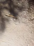 Joska Sunshine Eneo la Eka 4.5 Mbali na Kangundo Rd - 2