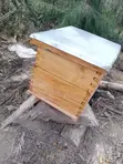 Viota Bora vya Nyuki - Box & Langstroth - 1