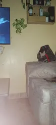 Set ya Sofa ya Rangi ya Beige - 3