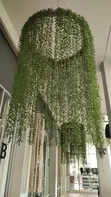 Mizabibu ya Kunitundika ya Kijani - 70cm - 1