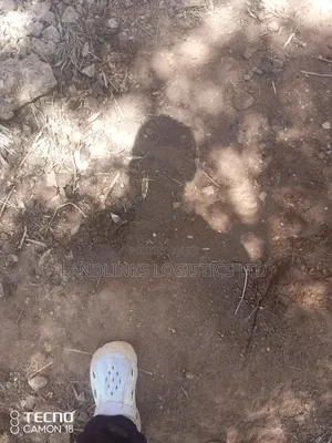 Koma Kenol Road: 5 & 10 Acres, 400m Off Tarmac