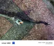 Honda Fit New Model Front Steering Rack - 2