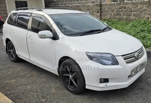 Toyota Corolla Fielder 1.5 Petrol AWD 2007 - 1