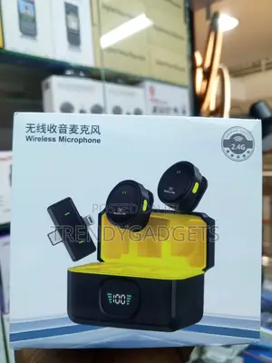 Q9 Professional Dual Wireless Microphone na Noise Reduction