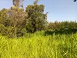 Nanyuki Kalalu 6.75 Acres with 3-Bedroom Bungalow - 3