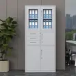 Dual Tempered Glass-Door Office Cabinet - 2