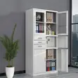 Dual Tempered Glass-Door Office Cabinet - 4