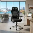 Ergonomic Mesh Office Chair with Lumbar Support - 3