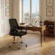 Kiti cha Ofisi cha Mesh chenye Ergonomic Kinachoweza Kurekebishwa - 3