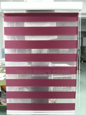 Prosurface Zebra Blinds for Modern Windows