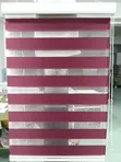 Prosurface Zebra Blinds for Modern Windows - 1