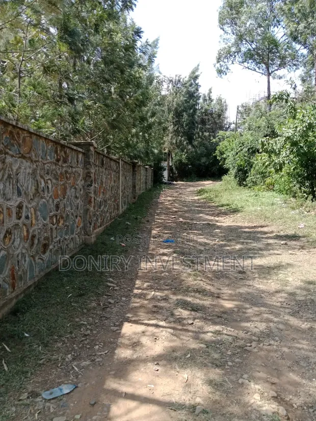 Four Acres Plot for Sale in Kisumu, Ukweli Area - 1