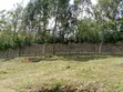 Four Acres Plot for Sale in Kisumu, Ukweli Area - 3