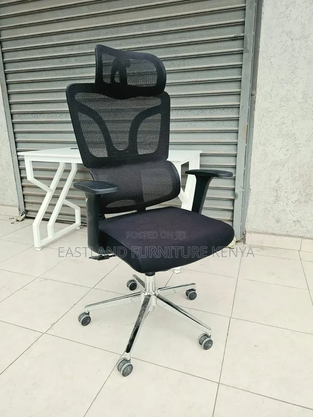 Premium Ergonomic Mesh Office Chair with Adjustable Headrest - 1