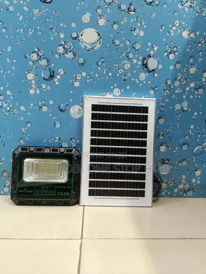TG 60W Solar Floodlight
