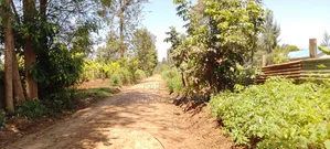 2 Acres Land for Sale in Nyangati, Kirinyaga