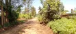 2 Acres Land for Sale in Nyangati, Kirinyaga - 1