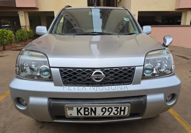 Nissan X-Trail 2.0 SUV 2004 Silver - 1