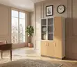 Three-Door Home Office Document Cabinet - 1