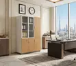 Three-Door Home Office Document Cabinet - 4