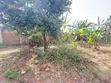 Plot ya 36x110 Inauzwa Kiunyu, Inagusa Lami - 5