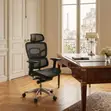 Home Office Orthopedic Executive Recliner Chair - 4