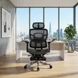 Home Office Orthopedic Executive Recliner Chair - 5