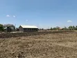 Vipande Bora vya 40x60 Vinauzwa - Kimbo - 3