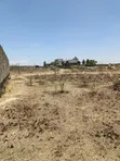 Vipande Bora vya 40x60 Vinauzwa - Kimbo - 5