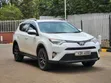 Toyota RAV4 2015 Pearl - 5