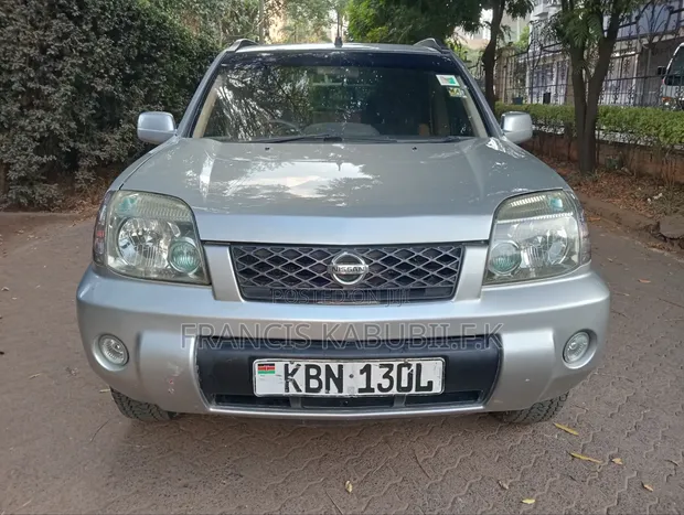Nissan X-Trail 2.0 Comfort 2004 Silver - 1