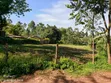 Vipande 3 vya Ardhi Vinauzwa Kamurguywa, Kapsabet - 2
