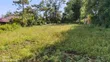 Vipande 3 vya Ardhi Vinauzwa Kamurguywa, Kapsabet - 4
