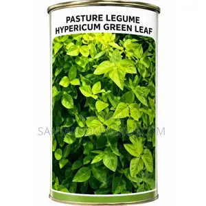 Mbegu za Malisho Desmodium Green Leaf