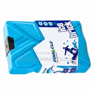 600ml Pinnacle Ice Brick Reusable Cooling Pack