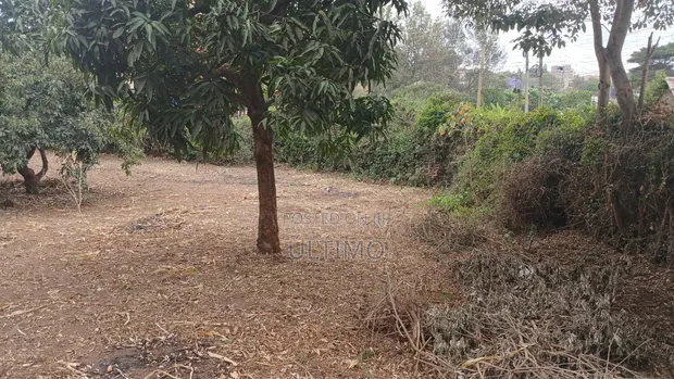 Ardhi ya Eka 1/2 ya Makazi Bora Inauzwa Rongai - 1