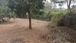 Ardhi ya Eka 1/2 ya Makazi Bora Inauzwa Rongai - 1