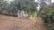 Ardhi ya Eka 1/2 ya Makazi Bora Inauzwa Rongai - 3