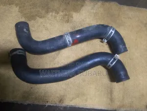 Subaru Forester Horse Pipe