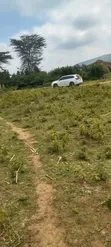 Mai Mahiu Prime 50x100 Plot Near Governors Senior School - 3