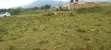 Mai Mahiu Prime 50x100 Plot Near Governors Senior School - 4