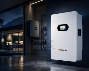 Dawnice 10.54kWh 51.2V LiFePO4 Battery
