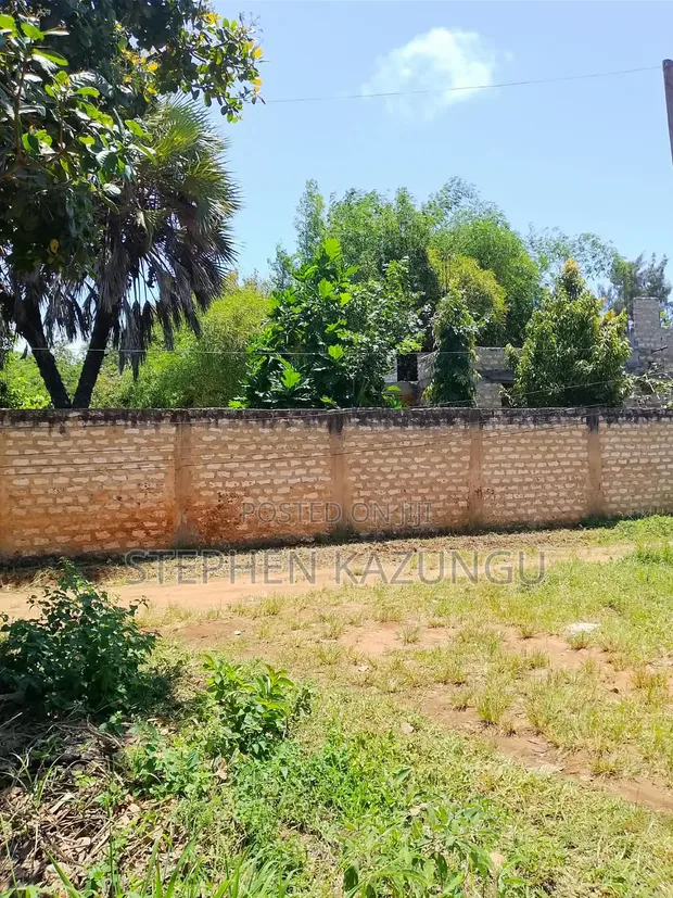 1/8 Acre Plot for Sale in Mvindeni, 500m from Tarmac - 1