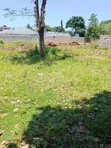 1/8 Acre Plot for Sale in Mvindeni, 500m from Tarmac - 2