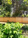 1/8 Acre Plot for Sale in Mvindeni, 500m from Tarmac - 3