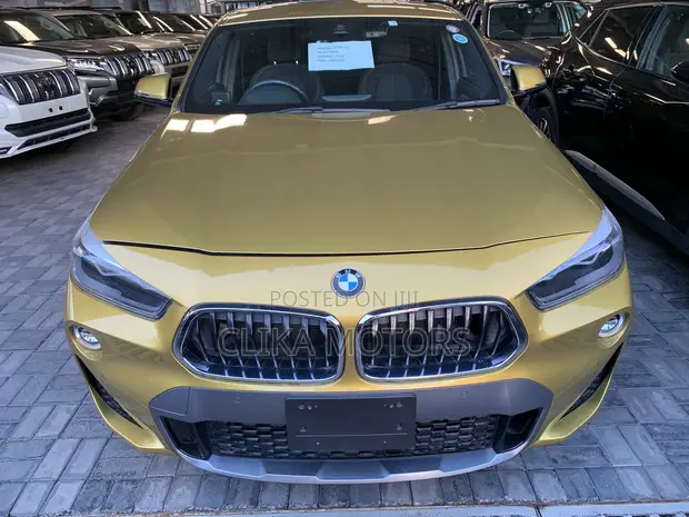 BMW X2 xDrive28i 2018 - 1