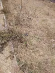 Eneo la Prime la Eka 0.25 kwa Uuzaji Parklands - 1