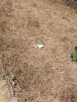 Eneo la Prime la Eka 0.25 kwa Uuzaji Parklands - 2