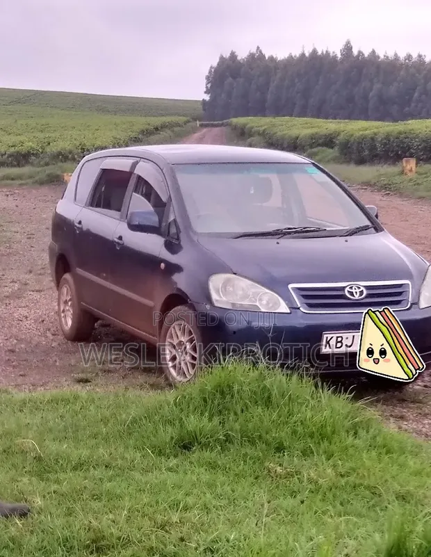Toyota Ipsum 2007 Bluu - 1