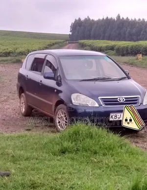 Toyota Ipsum 2007 Bluu
